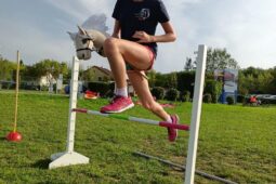 Vypich nabídne dětem netradiční sporty i letní kino