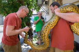 Zoo Praha posílí tým o 39 pracovních úvazků