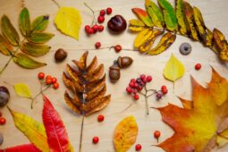 Vezměte děti na Sensory play – Kouzlo podzimní kuchyně