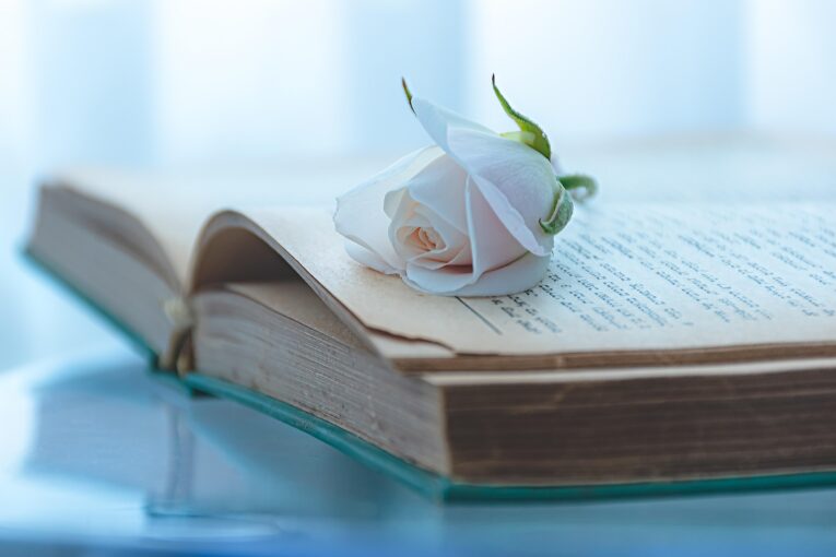 Zdroj foto: Pixabay.com