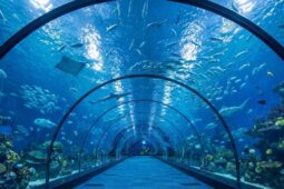 V Brně na výstavišti vznikne akvárium evropského významu Green Planet: National Aquarium