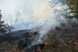 Les nad Zašovou zachvátil požár. Hasičům komplikoval zásah vítr i náročný terén