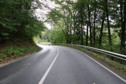 Mladý motorkář nepřežil následky nehody. Policie hledá svědky