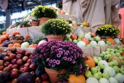 Podzimní Flora Olomouc se blíží. Představí letošní výpěstky, nabídne gastronomické soutěže i rozkvetlé památky