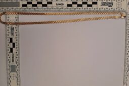 Strhl ženě z krku památeční šperk. Recidivista skončil ve vazbě a hrozí mu až deset let vězení