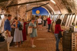 Prorazte ve světě s Vlašákem, Pálavou a červenou Frankovkou, radí tuzemským vinařům světoví experti Master of Wine