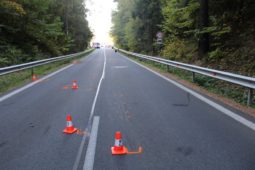 Po střetu se zvěří oživovali svědci těžce zraněnou motorkářku