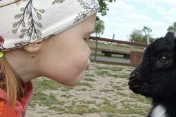 Užijte si barevný podzim v Zooparku Zelčín