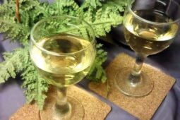 Vydejte se na vinobraní ve Čkyni a užijte si sváteční den plný chutí i zábavy