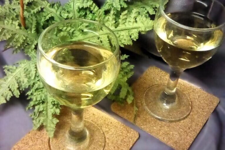 Vydejte se na vinobraní ve Čkyni a užijte si sváteční den plný chutí i zábavy