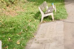 Lidé si odhlasovali změnu Štěpánky. Přibudou nové lavičky a koše
