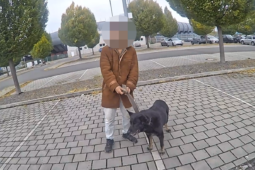 VIDEO: Mladík ukradl psa ze zahrady. Strážníkům řekl proč