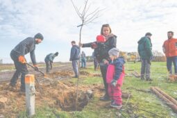 Přijďte zasadit strom. Prostějov chystá na listopad další komunitní sázení