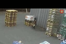 VIDEO: Sázka o krádež piv ho přišla draho. Odnesl si modřiny i řezná poranění