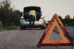 V Mikulčicích uvedou představení Případ ztraceného elektrokola, v hlavních rolích Batulková, Čenský a Štědroň