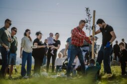 Stromy pro další generaci: Na jižní Moravě přibyly desítky stromů, 65 z nich ve Slavkově