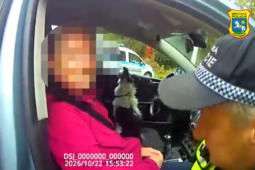 VIDEO: Seniorka stopovala u cesty jen v papučích. Všímavá řidička jí přivolala pomoc