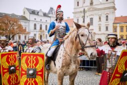 Svatý Martin přijede do Uherského Hradiště na bílém koni. Přiveze mladá vína i husí speciality