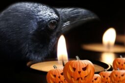 Halloweenské veselí doplní v Dobřanech dům hrůzy