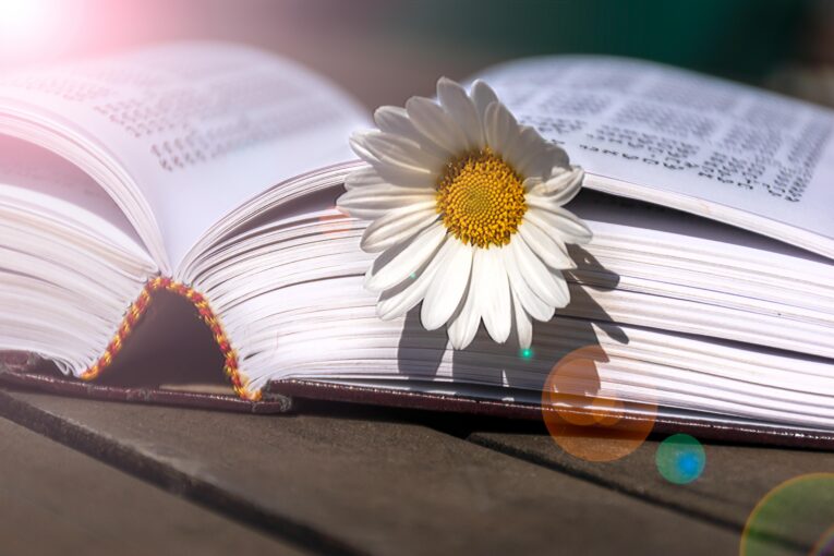 Zdroj foto: Pixabay.com