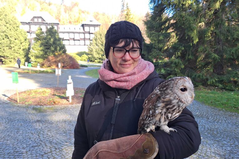 Karlova Studánka láká na terapii se sovou!