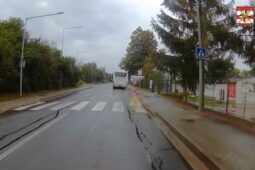 VIDEO: Nebezpečným předjížděním před přechodem řidič ohrozil nezletilou holčičku