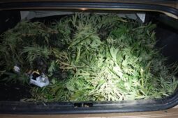 VIDEO: Řidič ujížděl policistům rychlostí až 200 kilometrů v hodině