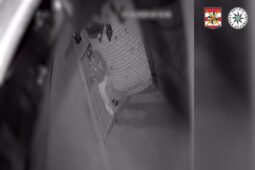VIDEO: Majitelku domu probudil zloděj. Policisté hledají důležitého svědka
