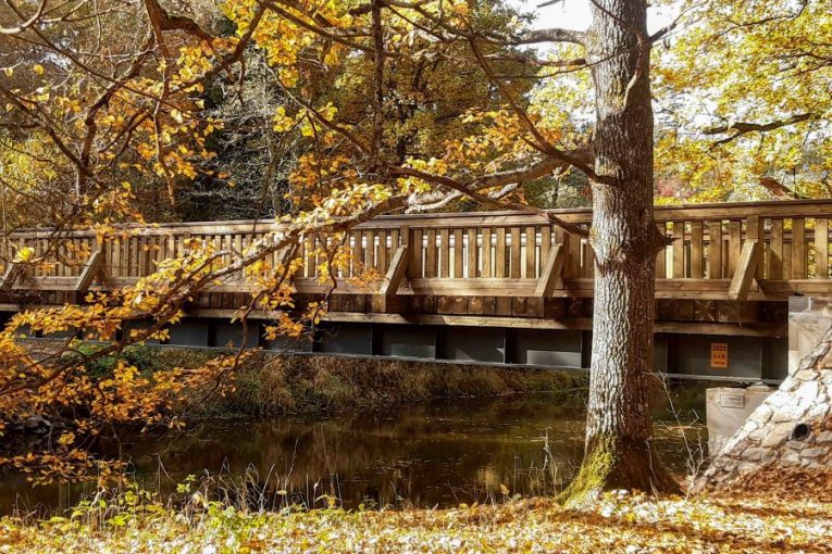 Borovanský most, Lesní správa Jindřichův Hradec. Zdroj: Lesy ČR