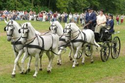 Tradiční Rudolfův pohár míří do Národního hřebčína