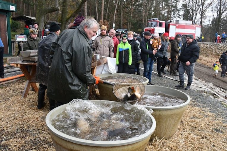 Kde letos koupit stromek a čerstvého kapra? U Košináře!