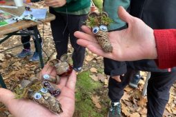 Přijďte s dětmi poznat les a zasázet stromy na Čilině!