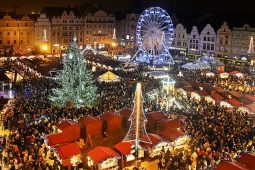 Tisíce lidí sledovaly rozsvícení vánočního stromu v Plzni