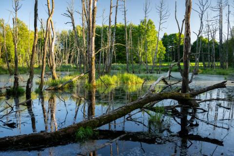 Foto: Jihočeský kraj