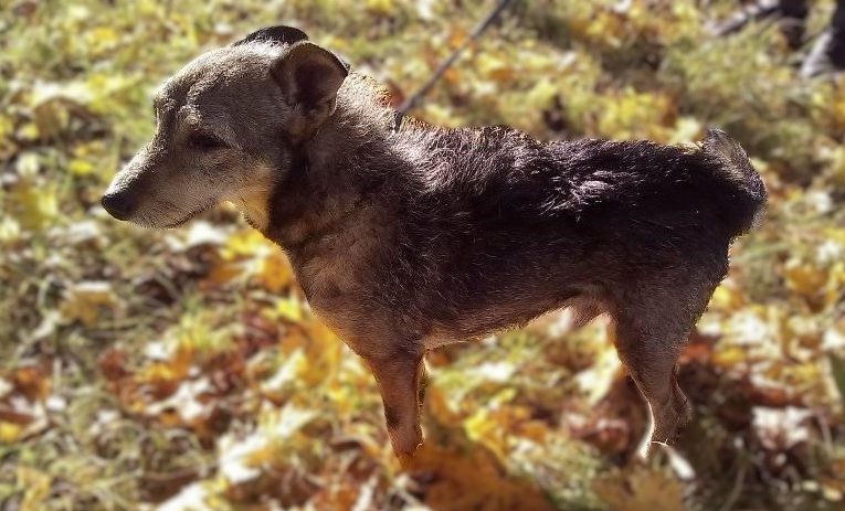 Ilustrační foto: Naděžda A. Fraisová