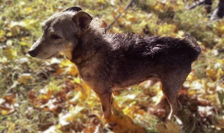 Ilustrační foto: Naděžda A. Fraisová