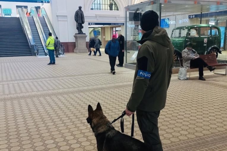 Plzeňští policisté kontrolovali veřejná místa: Odhalili drogy i osoby v pátrání