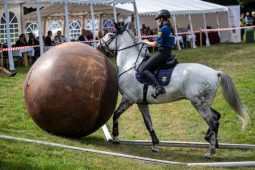 FOTO: Mezinárodní setkání policejních jezdců a koní již brzy v Ostravě! Těšte se na unikátní ukázky z výcviku
