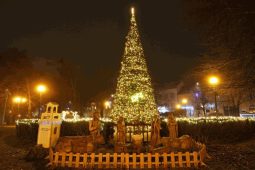 Břeclav zavedla novinku: Letošní vánoční strom je umělý. Břeclavanům se líbí