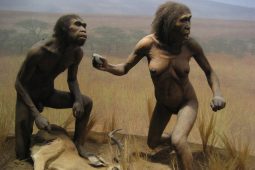 Proč zrovna lidé zvolili monogamii? Odpověď vás možná překvapí