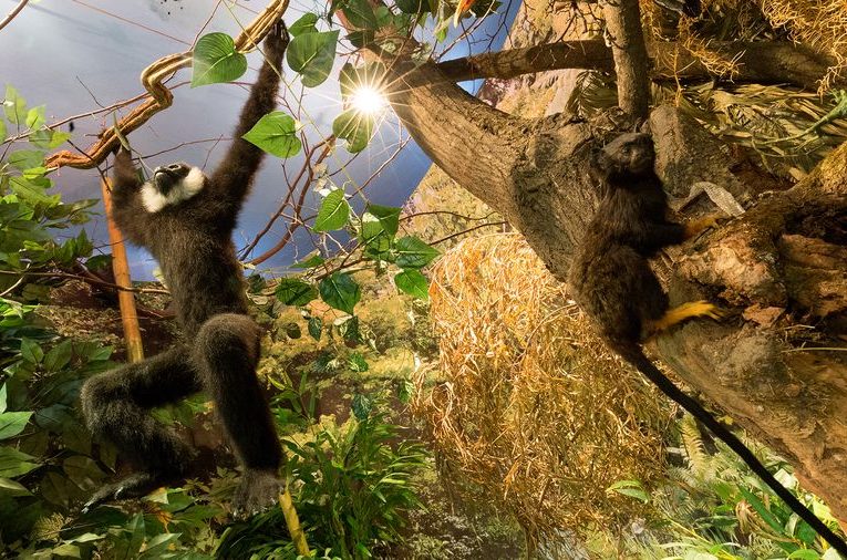 Památník města Protivína. Zdroj foto: Prácheňské muzeum v Písku
