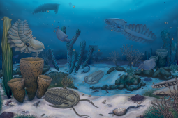 Když se oceány probudily: Tajemství kambrijské exploze