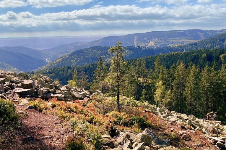 Výhled z Hadí hory u Jáchymova. Zdroj foto: Krušné hory - Krušnohorci