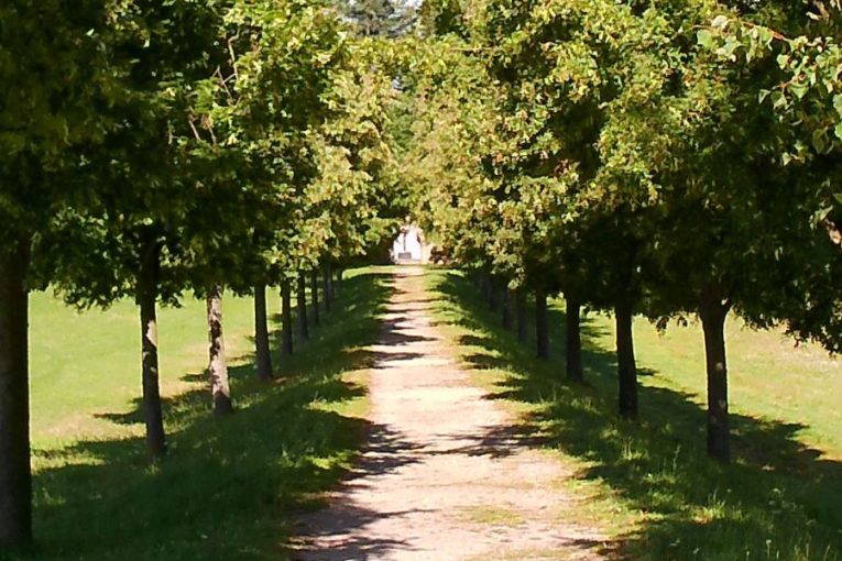 Lipová alej k hrobce rodu Dalbergů, Kostelní Vydří. Zdroj: spolek Arnika