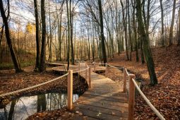 Ostravané! Za relaxací do Bělského lesa. Nové chodníky propojily oblíbená místa