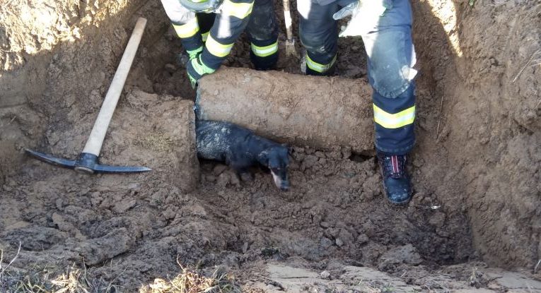 Zdroj: HZS Jihočeského kraje