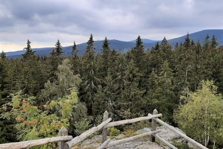 Výhled z Rolandova kmene na Hrubý Jeseník. Foto: Anna Petruželková