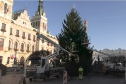 VIDEO: Pardubice se připravují na vánoce. Na náměstí dorazil vánoční strom