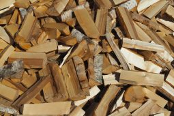 Wood Seeds, firma, o kterou se investoři perou