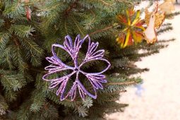 Rožnov o adventu láká koncerty, jarmark i Mikuláše